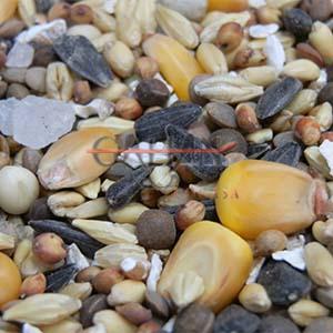 MIXTURA COTO CON MAIZ 25K               