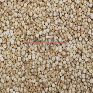 QUINOA BLANCA 25 KG                     