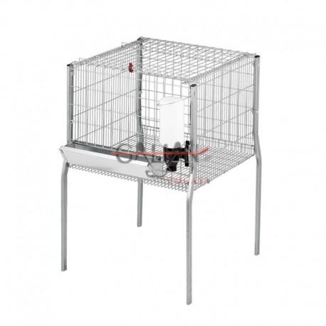 JAULA POLLOS ENGORDE 1 DPTS             