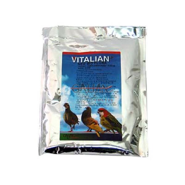 VITALIAN NEO BIOFLORA 100 GR            