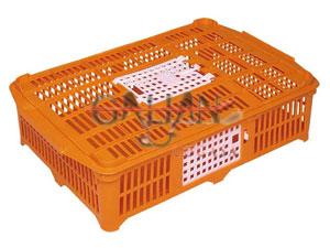 JAULA TRANSPORTE PERDICES PLASTICO      