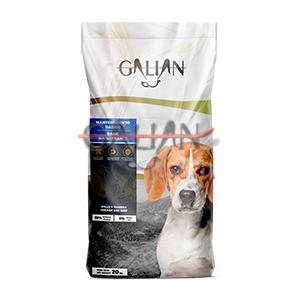 GALIAN DOGS BASIC MAINTENANCE 20KG      