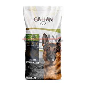 GALIAN DOGS HIGH MAINTENANCE 20 KG      