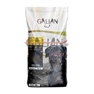 GALIAN DOGS HIGH ENERGY 20 KG           