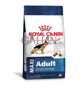 ROYAL CANIN MAXI ADULT 15KG             