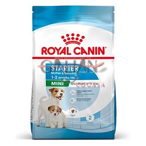 ROYAL CANIN MINI STARTER M&B 4KG        