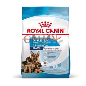 ROYAL CANIN MAXI STARTER M&B 4KG        