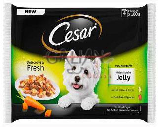 CESAR POUCH SELECCION GELATINA 4*100    