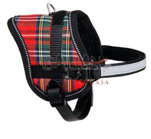 PETRAL EENY MEENY ESCOCES 36-46 CM      