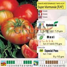 TOMATE SUPER MARMANDE "MAXI"            