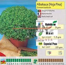 ALBAHACA DE HOJA FINA "MAXI"            