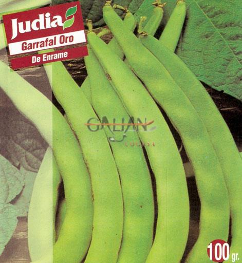 JUDIA GARRAFAL ORO  100 GR.             