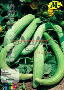 PEPINO WINSCONSIN "HEALTHY GARDEN"      