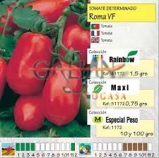 TOMATE ROMA VF PERA "MAXI"              