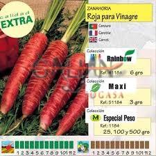 ZANAHORIA ROJA DE VINAGRE "MAXI"        