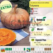 CALABAZA DULCE DE HORNO "MAXI"          