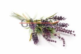 ALHELI CUARENTENO "HEALTHY GARDEN"      